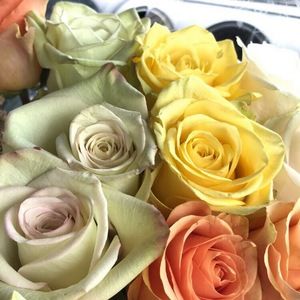 Meet your Posher, Melissa